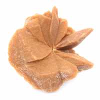 Groot woestijnrooskristal: exemplaar uit Marokko