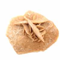 Minerale rozet van Marokko: gipskristallisatie