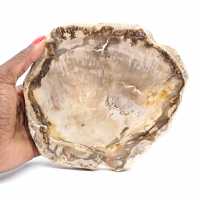 Plakje versteend Malagassisch hout - Minerale esthetiek