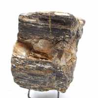 Mineralogisch specimen - Ruwe zwarte toermalijn uit Madagaskar