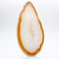 Exemplaar van gepolijste sedimentaire agaat