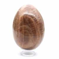 Zwarte maansteen - Microklien ei 455 g