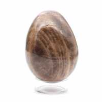 Zwart Madagaskar Microcline Ei 235g