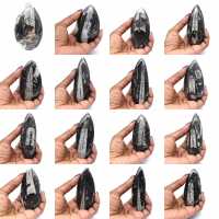 Fossiel van Orthoceras uit Marokko