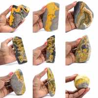 Bumblebee Jasper