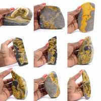 Bumblebee Jasper