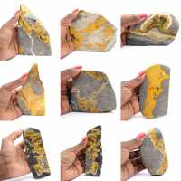 Bumblebee Jasper Bumblebee Jasper