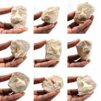 Fossiele tand van Otodus uit Marokko Fossiele tand van Otodus uit Marokko