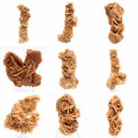 Natuurlijk mineraal zand roos Tunesië Natuurlijk mineraal zand roos Tunesië