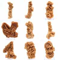 Natuurlijk mineraal zand roos Tunesië Natuurlijk mineraal zand roos Tunesië