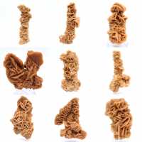 Natuurlijk mineraal zand roos Tunesië Natuurlijk mineraal zand roos Tunesië