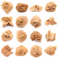 Kleine woestijnroos van Marokko: natuurlijk geologisch fragment