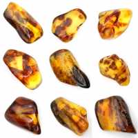 Kleine gepolijste barnsteenkiezel uit Litouwen - Mineralogische collectie