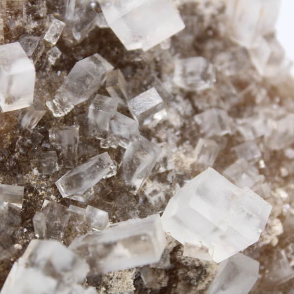 Steenzoutkristallen