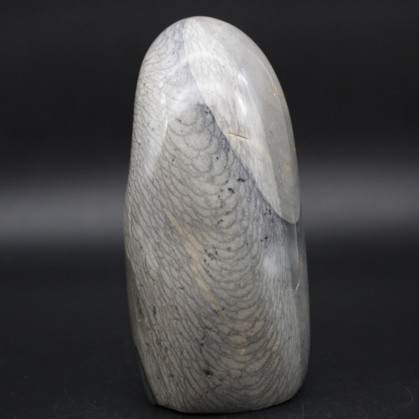 Grijs lint jaspis steen vrije vorm