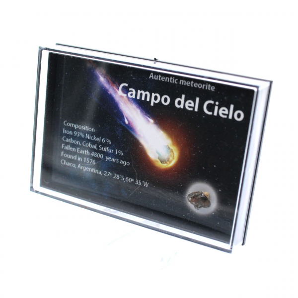 Campo Del Cielo-meteoriet