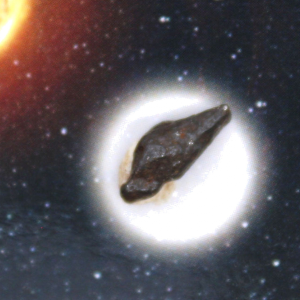 Campo del Cielo-meteoriet