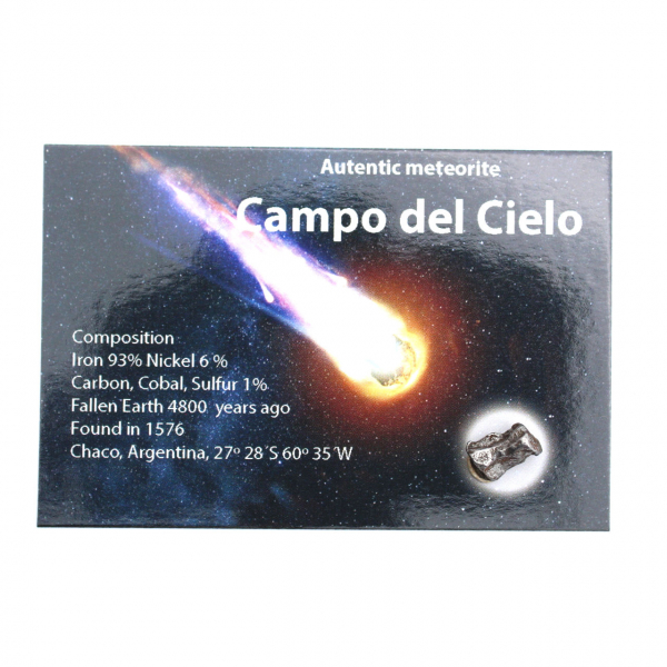 Campo del Cielo-meteoriet