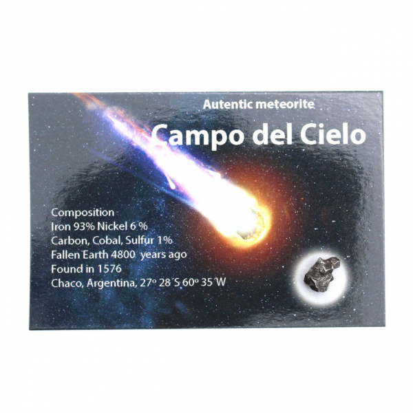 Campo del Cielo-meteoriet