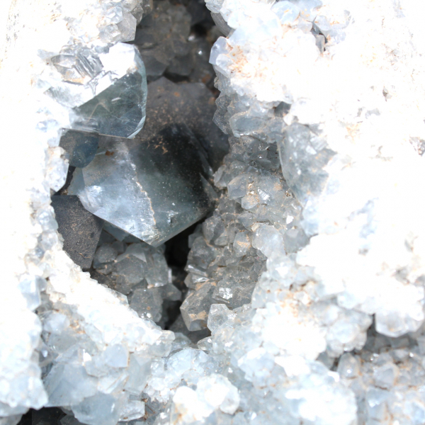 Ruwe Celestiet Geode Kristallen