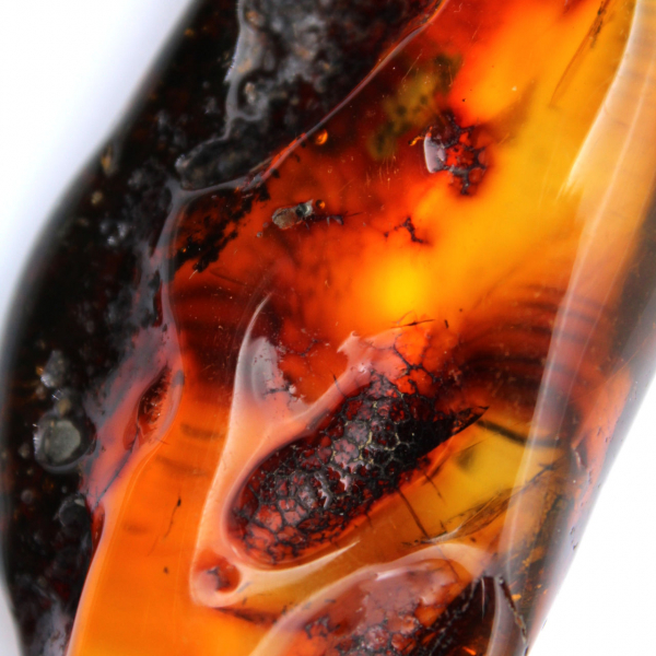 Gefossiliseerde ambersteen