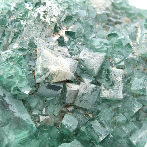 Fluoriet gekristalliseerd in kubus