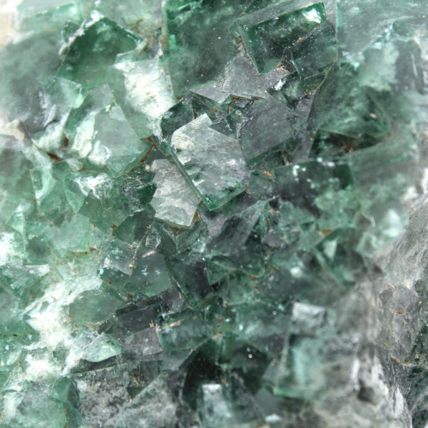 Kubieke fluorietkristallen op ganggesteente