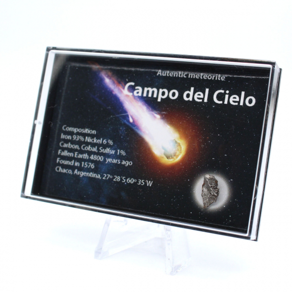 Campo del Cielo-meteoriet