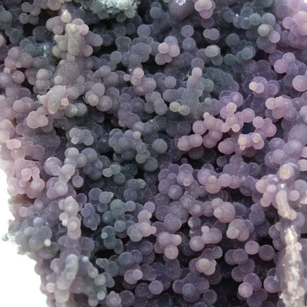 Chalcedoon cluster