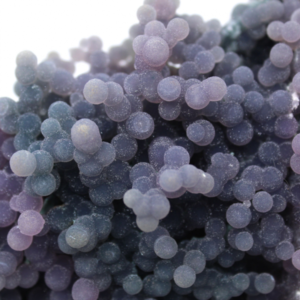 Chalcedoon cluster