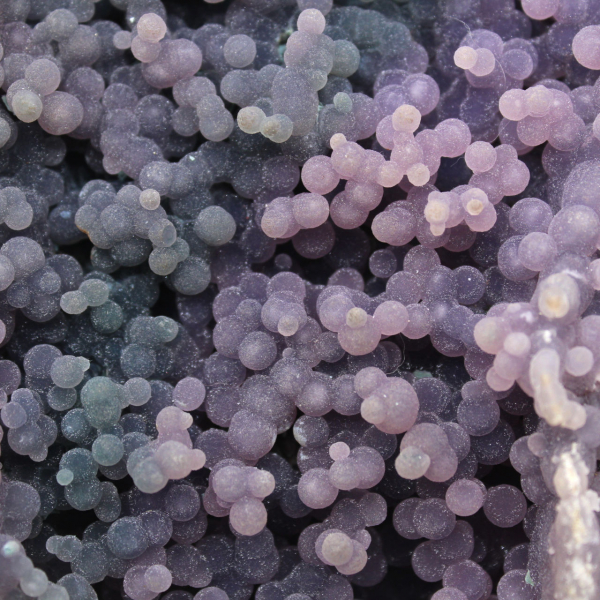 Chalcedoon cluster