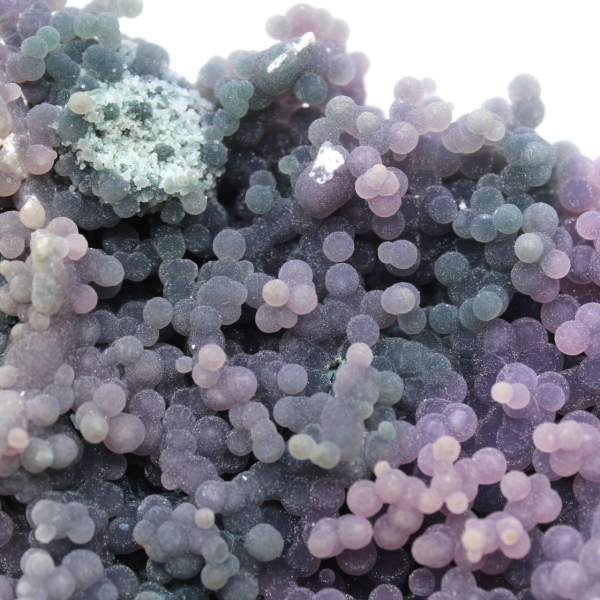 Chalcedoon cluster