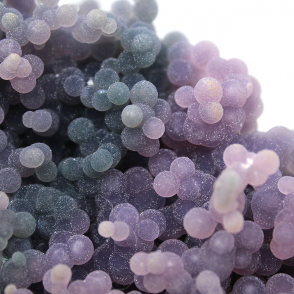 Chalcedoon cluster