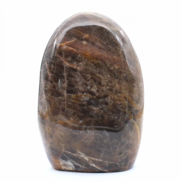 Natuurlijke zwarte microkliencollectie