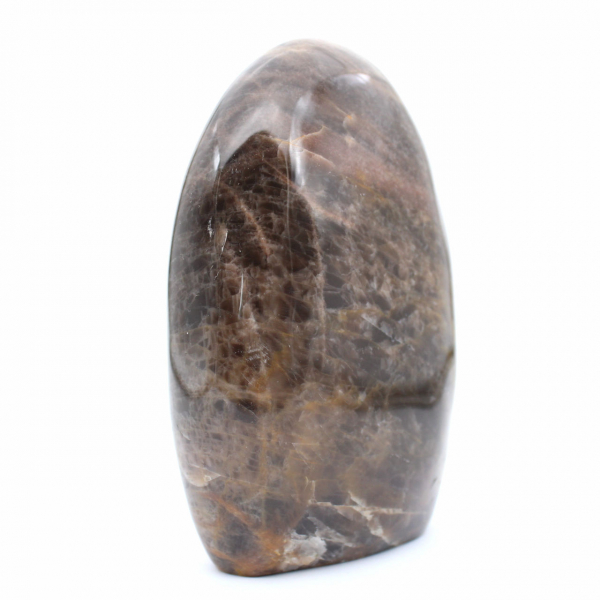 Natuurlijke zwarte microkliencollectie