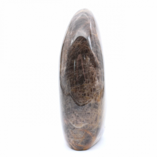 Natuurlijke zwarte microkliencollectie