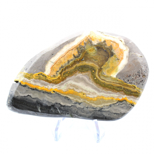 Bumblebee Jasper