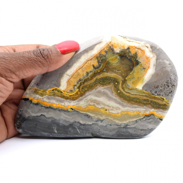 Bumblebee Jasper