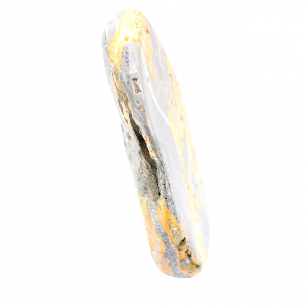 Bumblebee Jasper