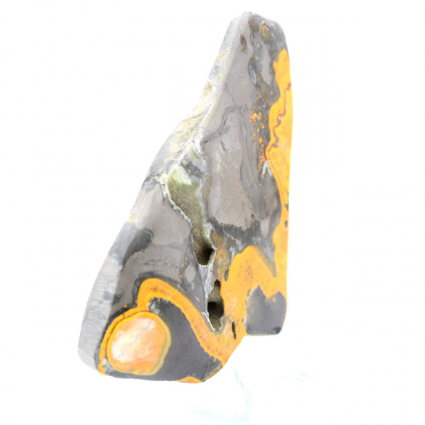 Bumblebee Jasper