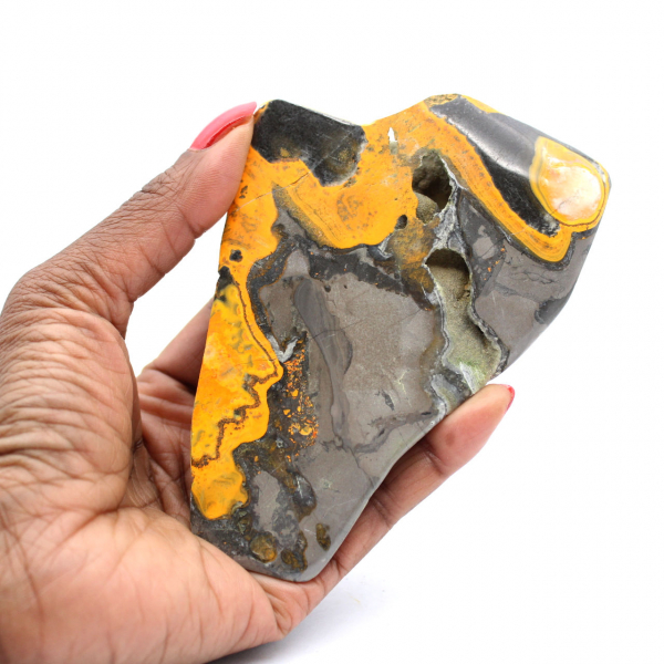 Bumblebee Jasper