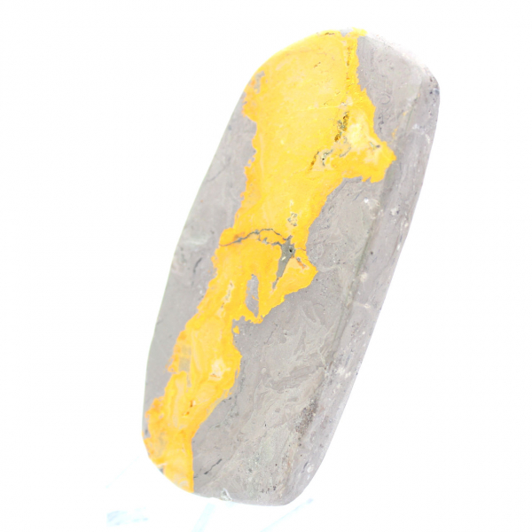 Bumblebee Jasper