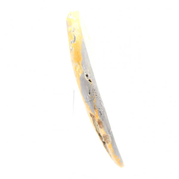 Bumblebee Jasper