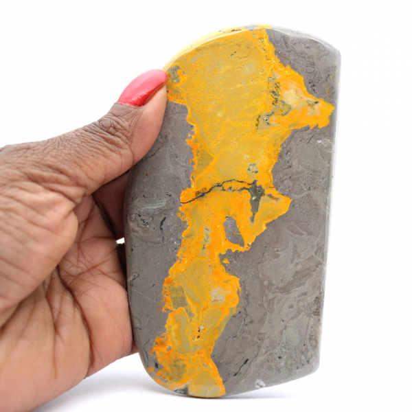 Bumblebee Jasper