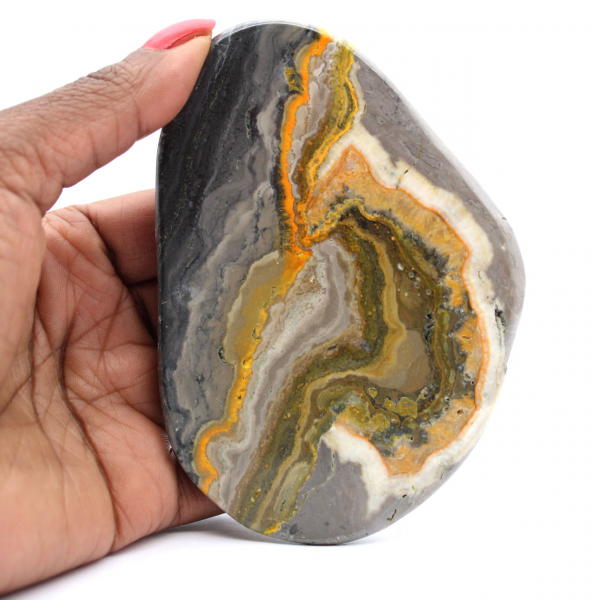 Bumblebee Jasper