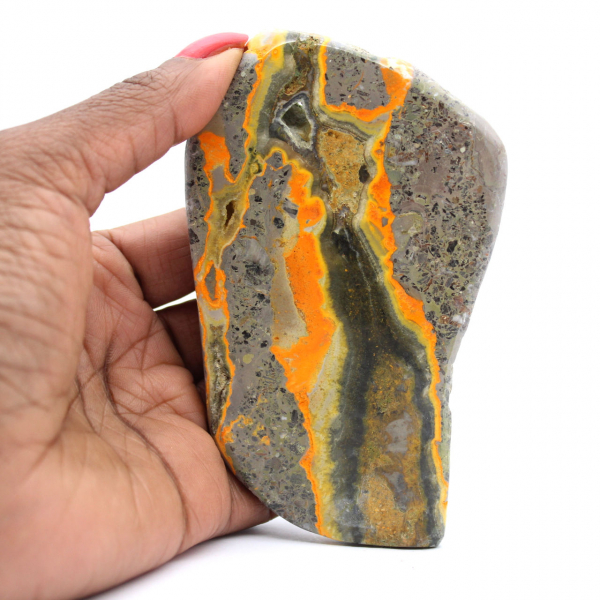 Bumblebee Jasper