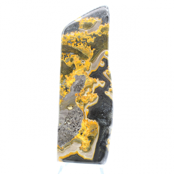 Bumblebee Jasper