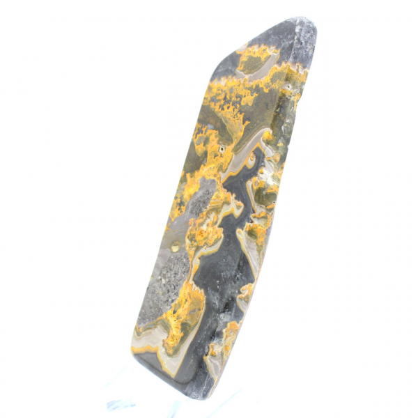 Bumblebee Jasper