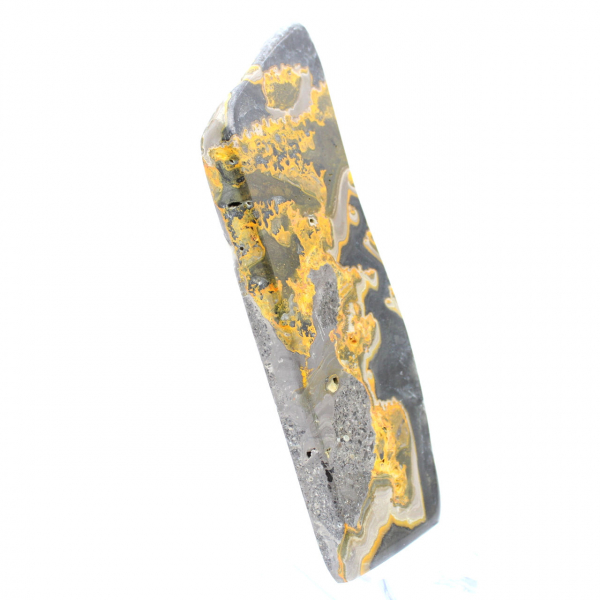Bumblebee Jasper