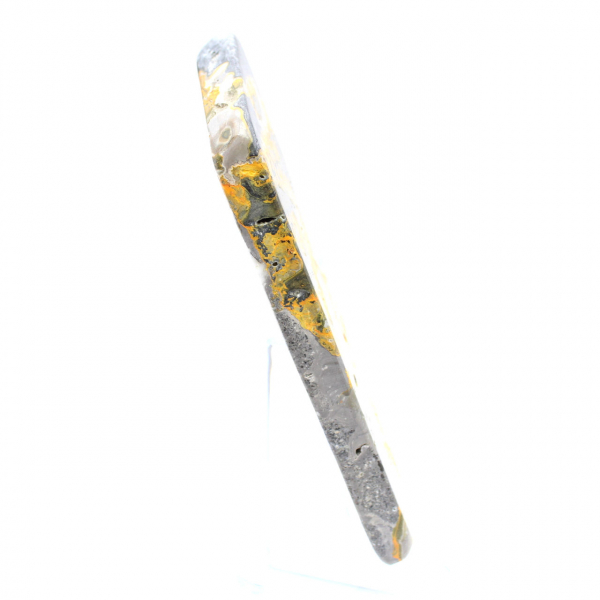 Bumblebee Jasper